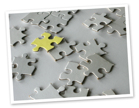 Integrated care puzzle
